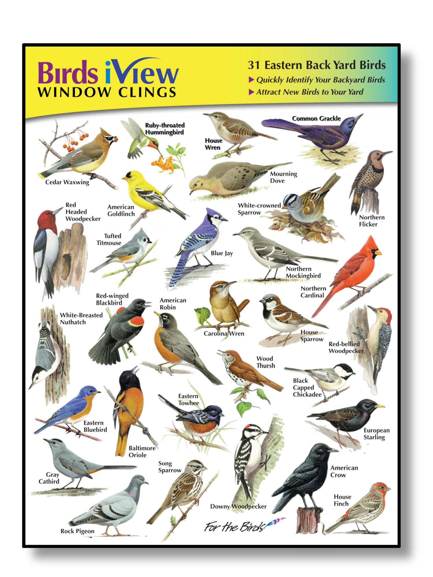 Birds iView Window Clings