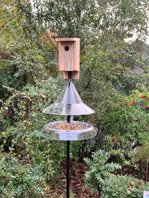 Birdfeeders and Supplies